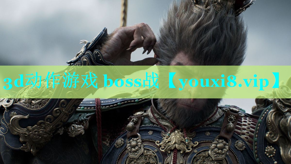 3d动作游戏 boss战